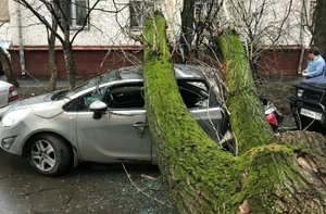 На Москву обрушилось штормовое ненастье