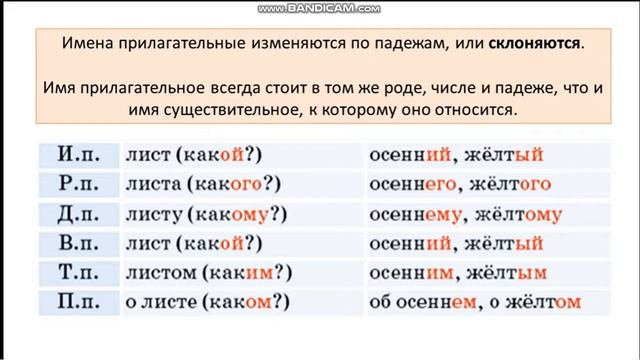3 класс склонение прилагательных теория