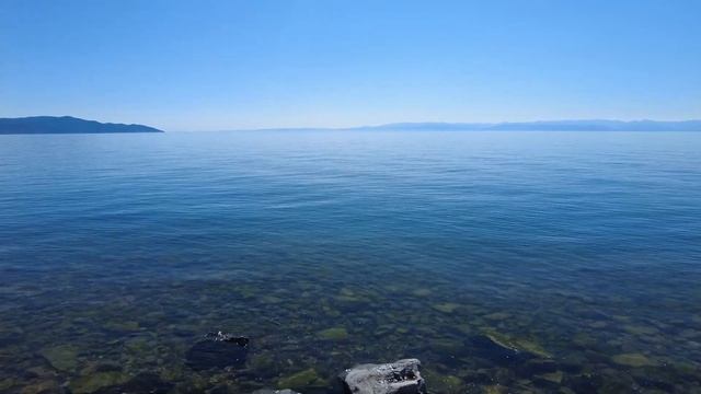 Живая нерпочка на Байкале около КБЖД смотреть онлайн