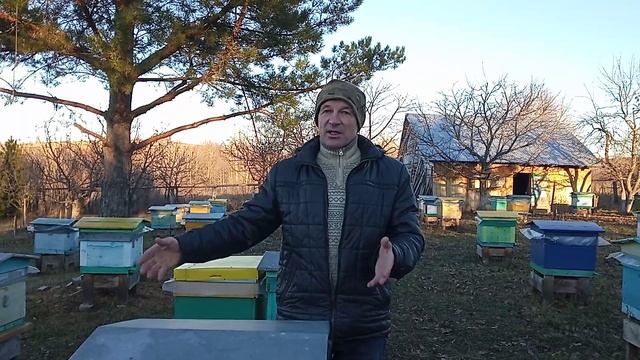 Пчеловодство №114 Как правильно разместить ульи на пасеке смотреть онлайн