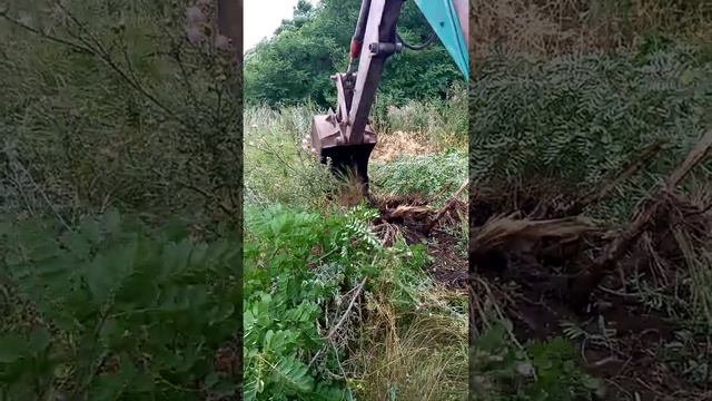 Корчевка деревьев ЮМЗ 2621