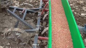 Посев озимой пшеницы на сено! No-till выгодно ли???