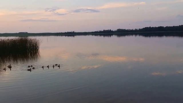 Тараскуль.Праздник "Иван Купала" смотреть онлайн