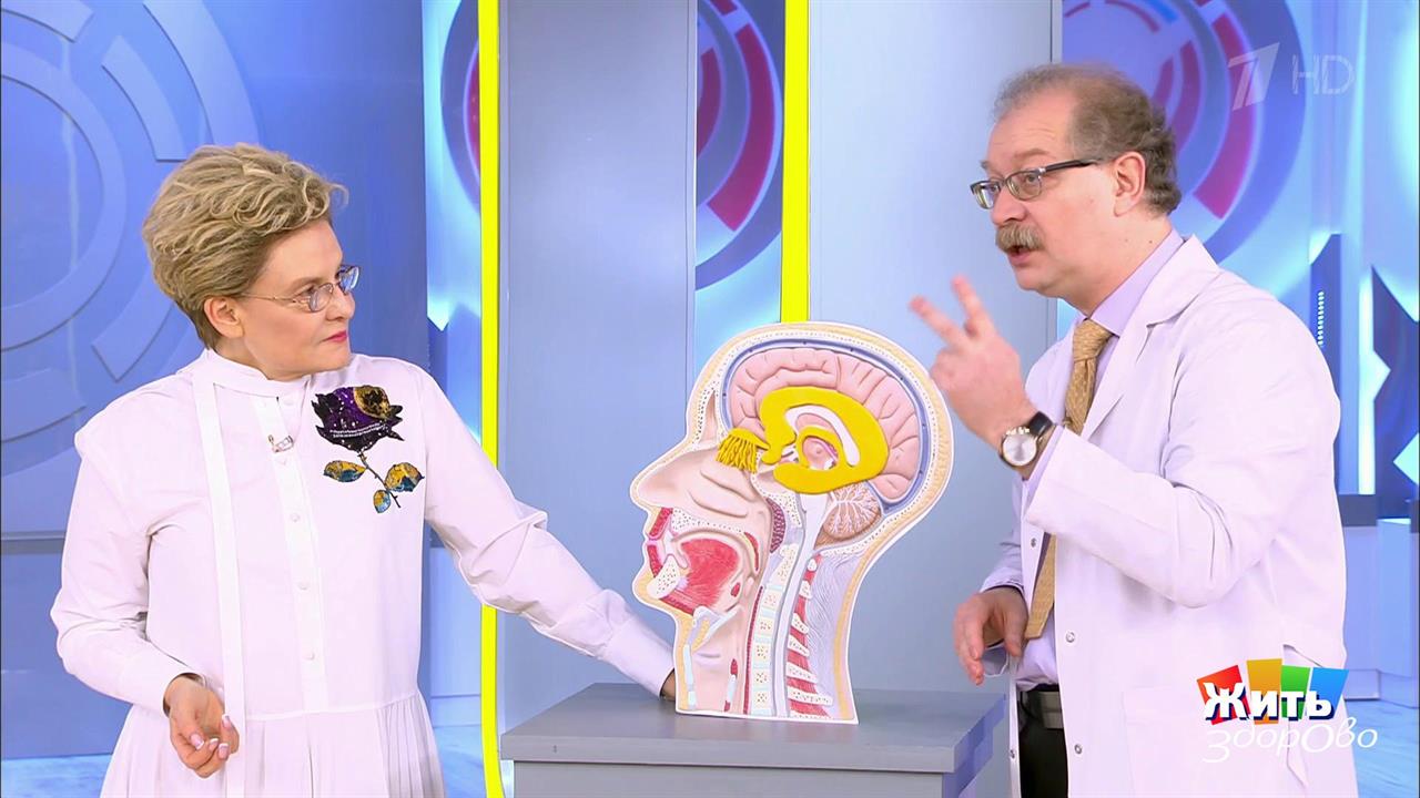 Нюх потеряли. Коронавирус и другие виновники. Жить здорово! Фрагмент выпуска от 29.04.2020