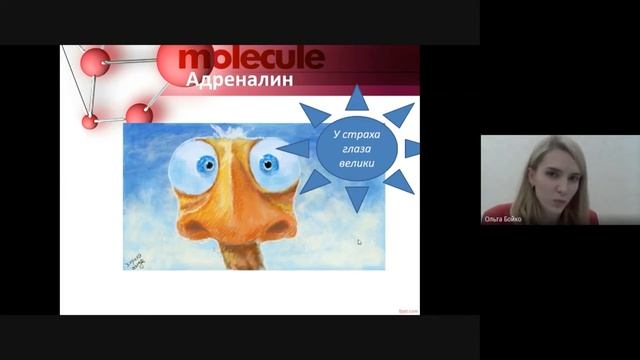 Уроки для родителей. Урок химии. Красота молекул внутри нас