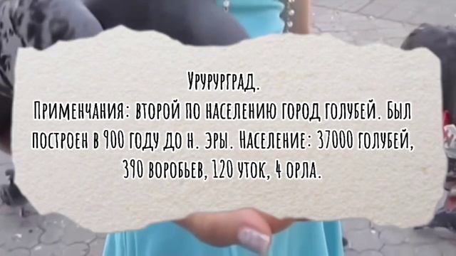 Голубиные территории | Города голубей. смотреть онлайн