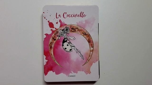 ORACLE LE MURMURE DES ANIMAUX - Magnifique oracle doux et poétique - Présentation complète смотреть онлайн