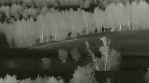 iray xEye 2 E3 plus v2.0 заяц 450м