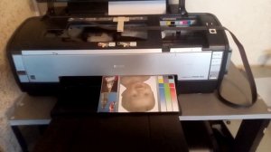 Epson Stylus Photo 1410 з СНПЧ формату А3 тестовая печать