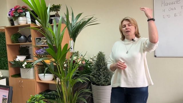 Самая неприхотливая пальма