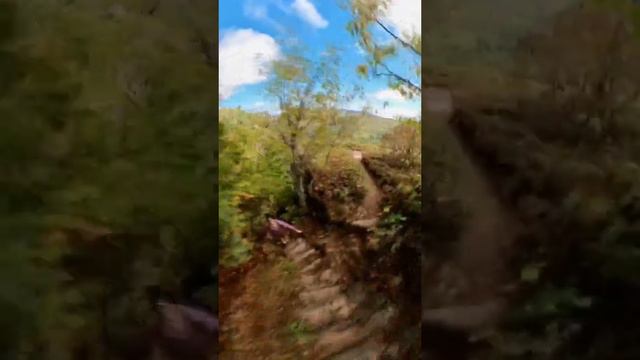 Hiking the Beech Cliff Trail in Acadia National Park, Maine | The Best Hikes In Acadia