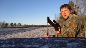 МР 512 кучность с рук на 80м! Пули JSB 0.51.