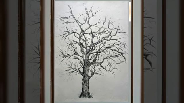 Видео урок для 1 курса Рисунок тема; Зарисовки деревьев, частей дерева, веток смотреть онлайн