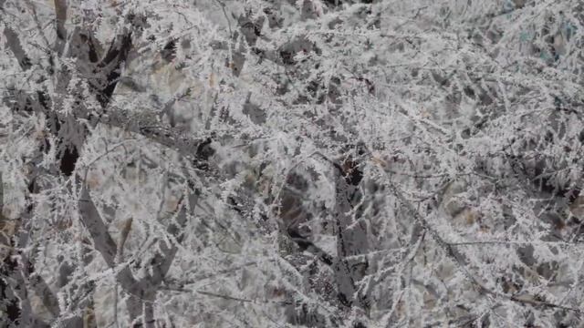 Nikon Goolpix L 820 Царство инея в Харькове. Мое слайд-шоу смотреть онлайн