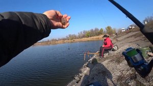 РЫБАЛКА НА ДАМБЕ ? ЛЕГЕНДАРНОЕ МЕСТО