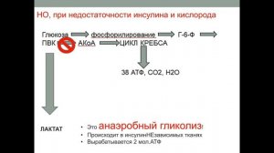 Пути метаболизма глюкозы