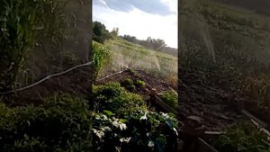 Полив огорода мотоблоки,помпой для мотоблока