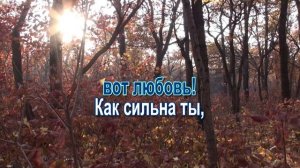 Надо мною лист кружится, Караоке