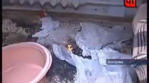 Брошенный муж заживо сжег жену на глазах ребенка