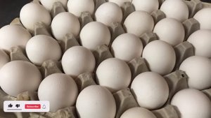 Вот ЧТО будет с Организмом, если есть по Два ЯЙЦА в День