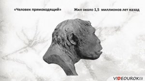 Видеоурок по всеобщей истории "Древнейшие люди"