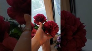 Шикарные ПИОНЫ с нашей дачи?