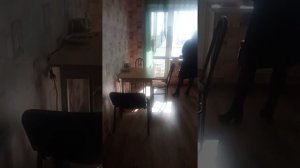 Замер паров ртути в квартире.