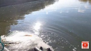 Рыбалка кастинговой сетью. Погода и улов радуют осенью.