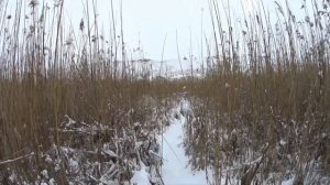 Экстримальная охота на утку зимой