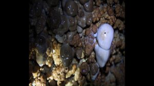 Кочуем по Бурятии. Баунт