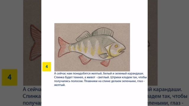 21.04 как нарисовать окуня? смотреть онлайн