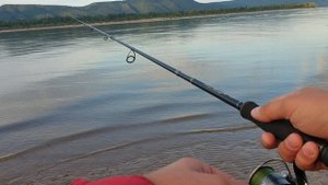 Окунь на поппер Сбирулино   Бомбарда Рыбалка на Волге в Тольятти Утренний клёв летом в Августе