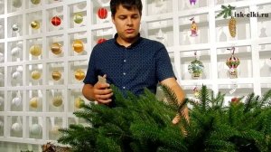 Шарнирный тип крепления веток | isk-elki.ru