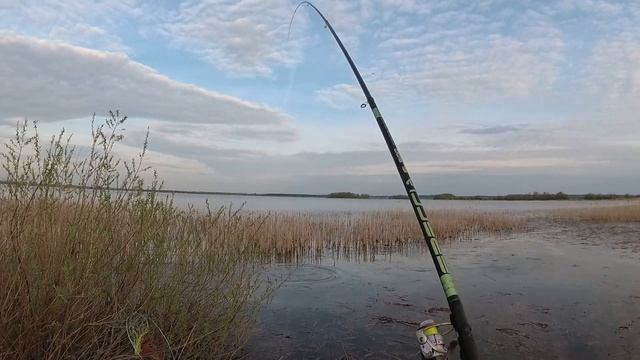 Хороший клев огромной густеры на поплавок Нерест сазана под ногами. Рыбалка. Кемпинг. Туризм. смотреть онлайн
