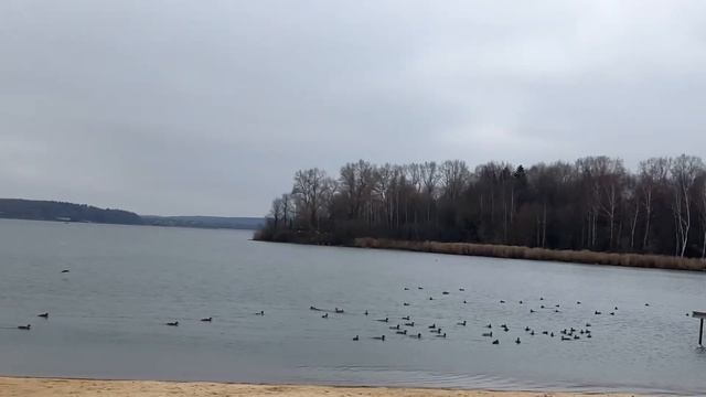Озеро Сенеж. Солнечногорск. Подмосковье