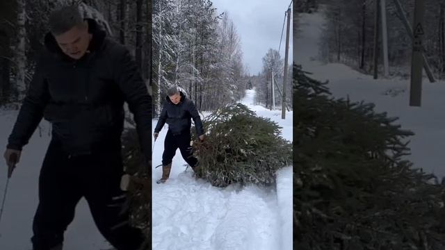 Аромат Нового года