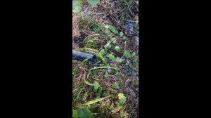 Бурение скважин на воду.