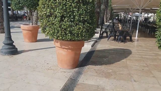 Утренняя прогулка по Аликанте. 26 июля 2021 смотреть онлайн