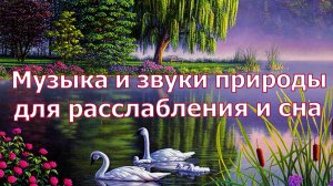 Музыка и Звуки природы для РАССЛАБЛЕНИЯ и СНА
