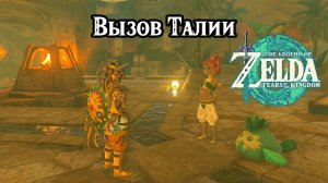 Вызов Талии. The Legend of Zelda Tears of the Kingdom. Dalia's Game. Nintendo Switch
