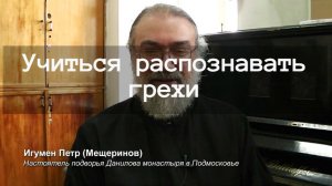 Учиться распознавать грехи. Священник Пётр Мещеринов