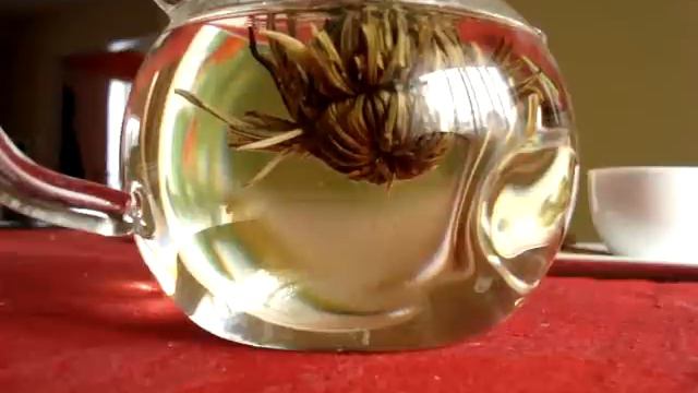 Libra Blooming Tea смотреть онлайн