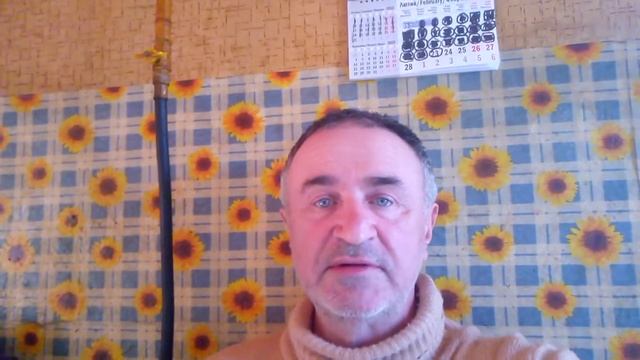 2 часть сказки Репка. смотреть онлайн