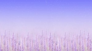 Футаж. Летний пейзаж 24  Footage. Summer landscape 24