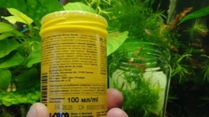 Как поймать креветку