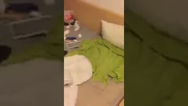 Сдал квартиру студентке на 2 месяца смотреть онлайн