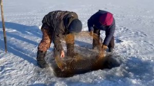 Рыбалка на вершу-мордушку. Верхнеколымск / Fishing on the muzzle. Verkhnekolymsk.