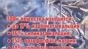 Зола и пепел – в чем разница?