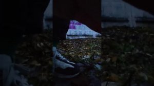 граффити и теггинг?