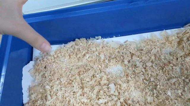 КАК БЫСТРО ОБУСТРОИТЬ КЛЕТКУ?ПОДАРИЛИ ХОМЯКА?ЧТО МОЖНО ЕСТЬ/НАПОЛНИТЕЛЬ/СЕНО/ЭТАЖИ/ОСНОВНЫЕ ПРАВИЛА